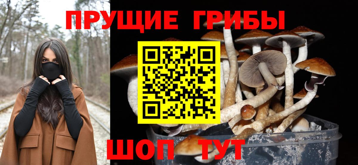 Псилоцибиновые грибы Cubensis Чистополь
